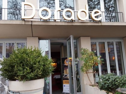 照片: Dorade